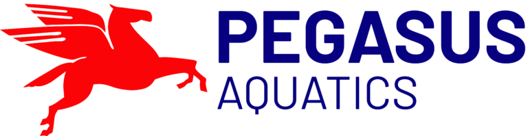 pegasus logo 2 blue banner 094499 tsml large