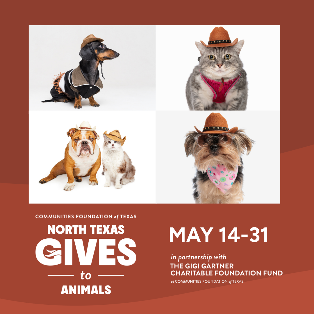 North Texas Gives to Animals 1080 x 1080